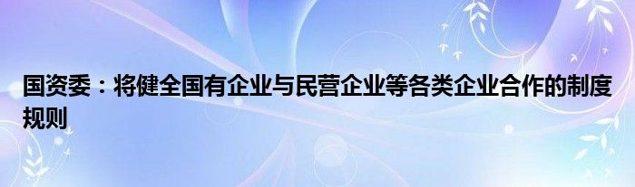 国资委：将健全国有企业与民营企业等各类企业合作的制度规则