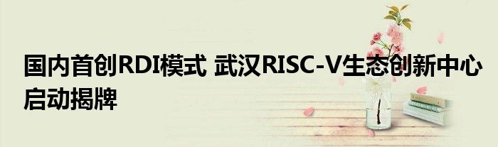 国内首创RDI模式 武汉RISC-V生态创新中心启动揭牌