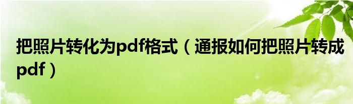 把照片转化为pdf格式（通报如何把照片转成pdf）