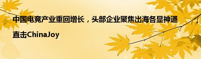 中国电竞产业重回增长，头部企业聚焦出海各显神通|直击ChinaJoy