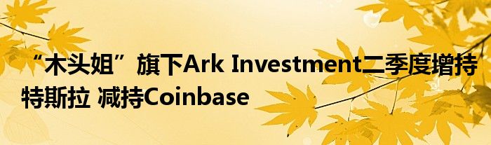 “木头姐”旗下Ark Investment二季度增持特斯拉 减持Coinbase