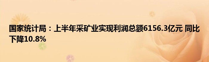 国家统计局：上半年采矿业实现利润总额6156.3亿元 同比下降10.8%