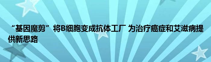 “基因魔剪”将B细胞变成抗体工厂 为治疗癌症和艾滋病提供新思路