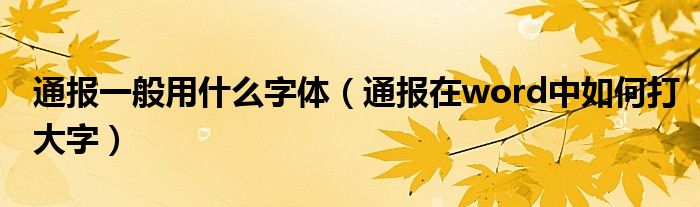 通报一般用什么字体（通报在word中如何打大字）