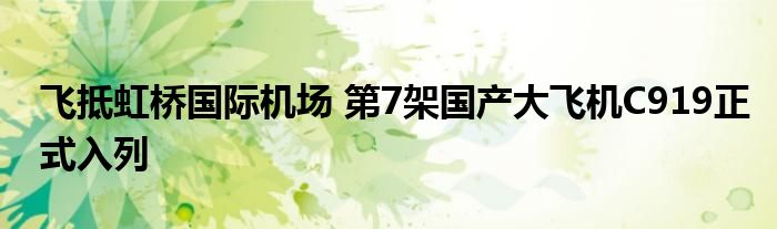 飞抵虹桥国际机场 第7架国产大飞机C919正式入列