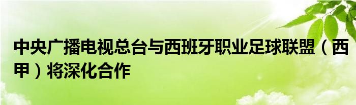 中央广播电视总台与西班牙职业足球联盟（西甲）将深化合作