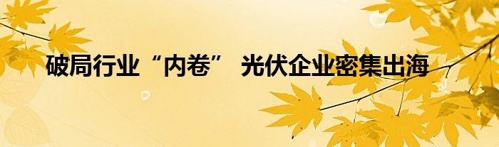 破局行业“内卷” 光伏企业密集出海