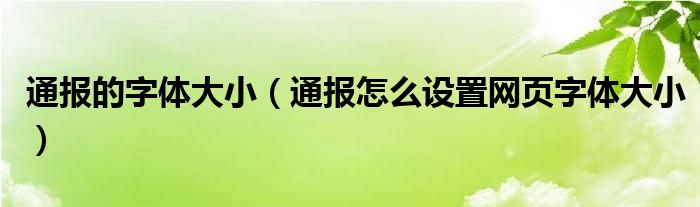 通报的字体大小（通报怎么设置网页字体大小）