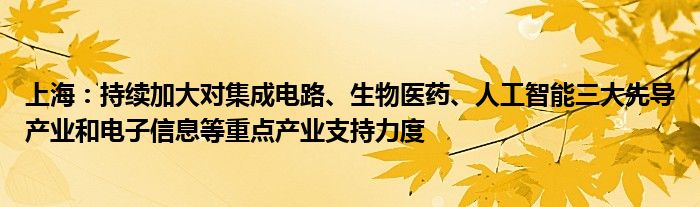 上海：持续加大对集成电路、生物医药、人工智能三大先导产业和电子信息等重点产业支持力度