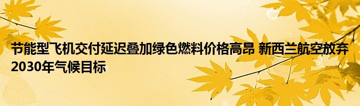 节能型飞机交付延迟叠加绿色燃料价格高昂 新西兰航空放弃2030年气候目标