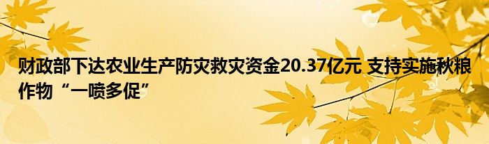 财政部下达农业生产防灾救灾资金20.37亿元 支持实施秋粮作物“一喷多促”