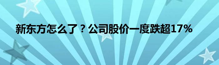 新东方怎么了？公司股价一度跌超17%