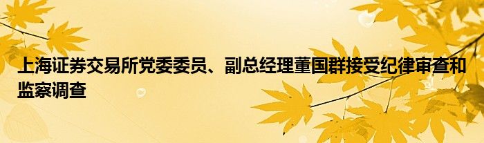 上海证券交易所党委委员、副总经理董国群接受纪律审查和监察调查