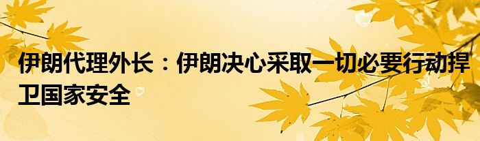 伊朗代理外长：伊朗决心采取一切必要行动捍卫国家安全