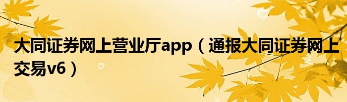 大同证券网上营业厅app（通报大同证券网上交易v6）