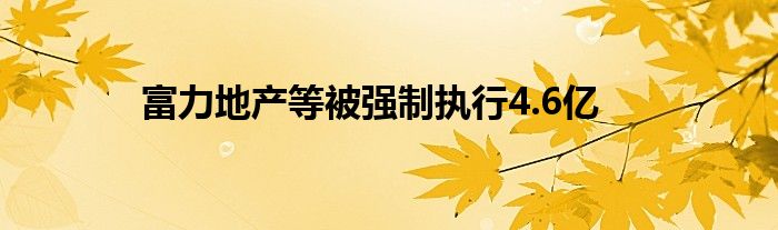 富力地产等被强制执行4.6亿