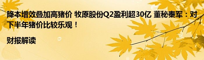 降本增效叠加高猪价 牧原股份Q2盈利超30亿 董秘秦军：对下半年猪价比较乐观！|财报解读