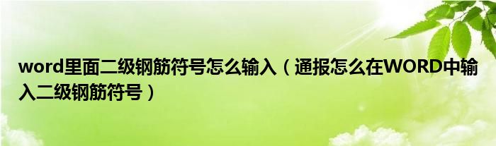 word里面二级钢筋符号怎么输入（通报怎么在WORD中输入二级钢筋符号）