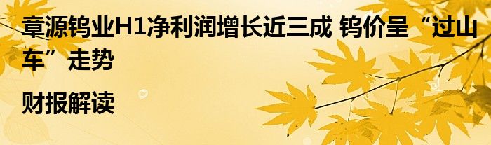 章源钨业H1净利润增长近三成 钨价呈“过山车”走势|财报解读