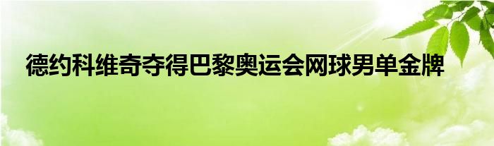 德约科维奇夺得巴黎奥运会网球男单金牌