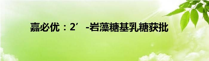 嘉必优：2’-岩藻糖基乳糖获批