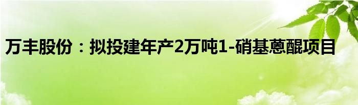 万丰股份：拟投建年产2万吨1-硝基蒽醌项目