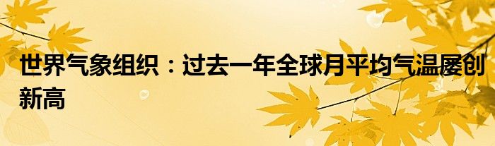 世界气象组织：过去一年全球月平均气温屡创新高