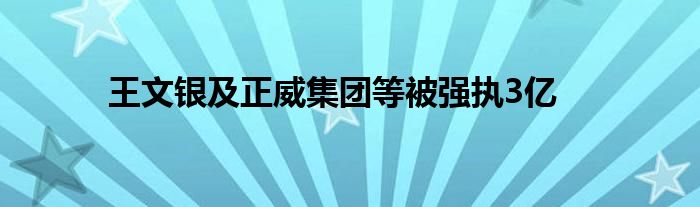 王文银及正威集团等被强执3亿