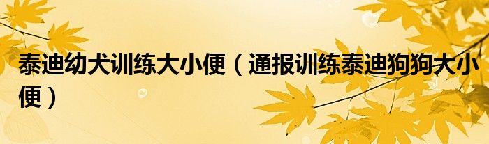 泰迪幼犬训练大小便（通报训练泰迪狗狗大小便）