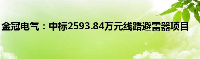 金冠电气：中标2593.84万元线路避雷器项目