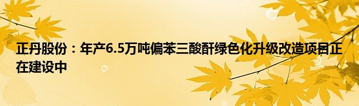 正丹股份：年产6.5万吨偏苯三酸酐绿色化升级改造项目正在建设中