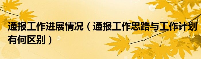 通报工作进展情况（通报工作思路与工作计划有何区别）