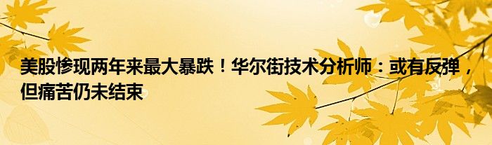 美股惨现两年来最大暴跌！华尔街技术分析师：或有反弹，但痛苦仍未结束