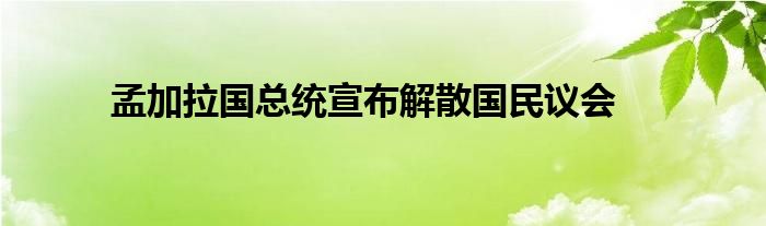 孟加拉国总统宣布解散国民议会