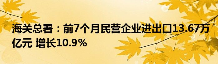 海关总署：前7个月民营企业进出口13.67万亿元 增长10.9%