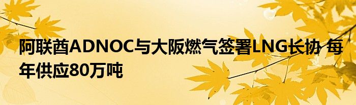 阿联酋ADNOC与大阪燃气签署LNG长协 每年供应80万吨