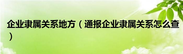 企业隶属关系地方（通报企业隶属关系怎么查）