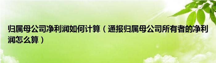 归属母公司净利润如何计算（通报归属母公司所有者的净利润怎么算）