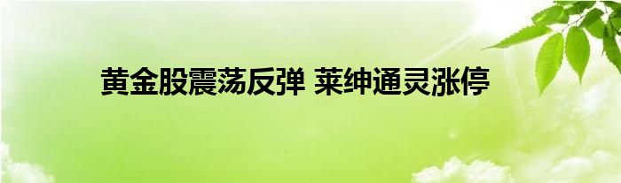 黄金股震荡反弹 莱绅通灵涨停