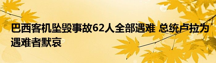 巴西客机坠毁事故62人全部遇难 总统卢拉为遇难者默哀