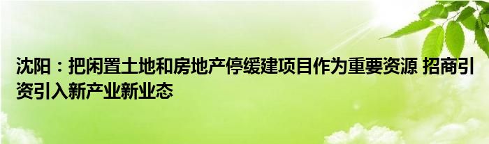 沈阳：把闲置土地和房地产停缓建项目作为重要资源 招商引资引入新产业新业态