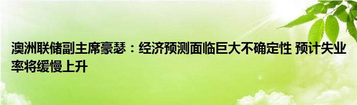 澳洲联储副主席豪瑟：经济预测面临巨大不确定性 预计失业率将缓慢上升