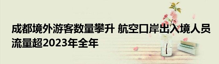 成都境外游客数量攀升 航空口岸出入境人员流量超2023年全年