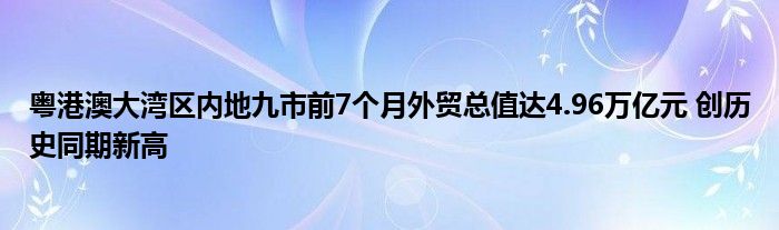 粤港澳大湾区内地九市前7个月外贸总值达4.96万亿元 创历史同期新高