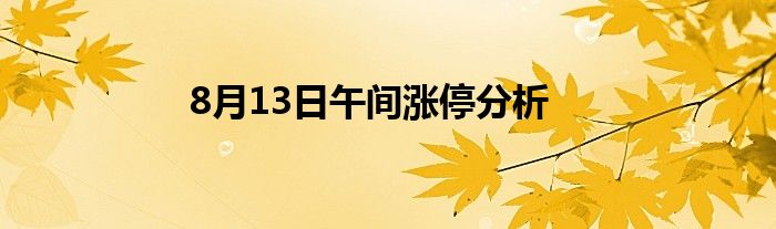 8月13日午间涨停分析