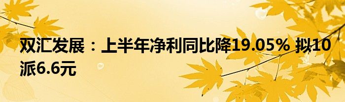 双汇发展：上半年净利同比降19.05% 拟10派6.6元