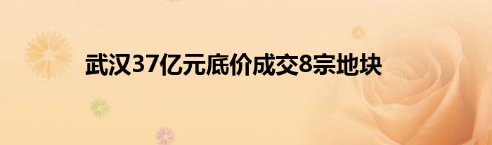 武汉37亿元底价成交8宗地块