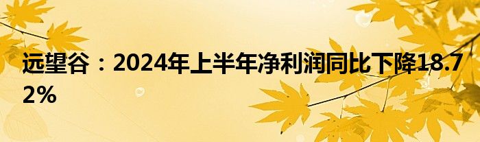 远望谷：2024年上半年净利润同比下降18.72%