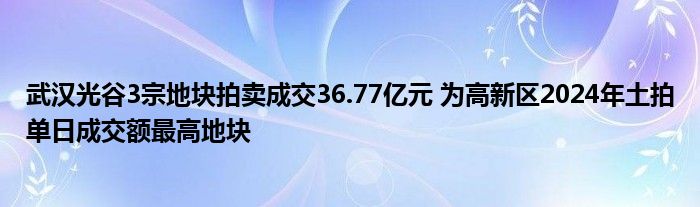 武汉光谷3宗地块拍卖成交36.77亿元 为高新区2024年土拍单日成交额最高地块