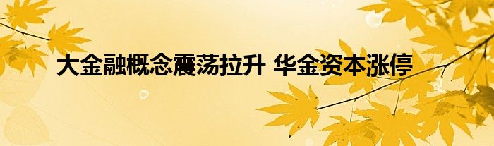 大金融概念震荡拉升 华金资本涨停